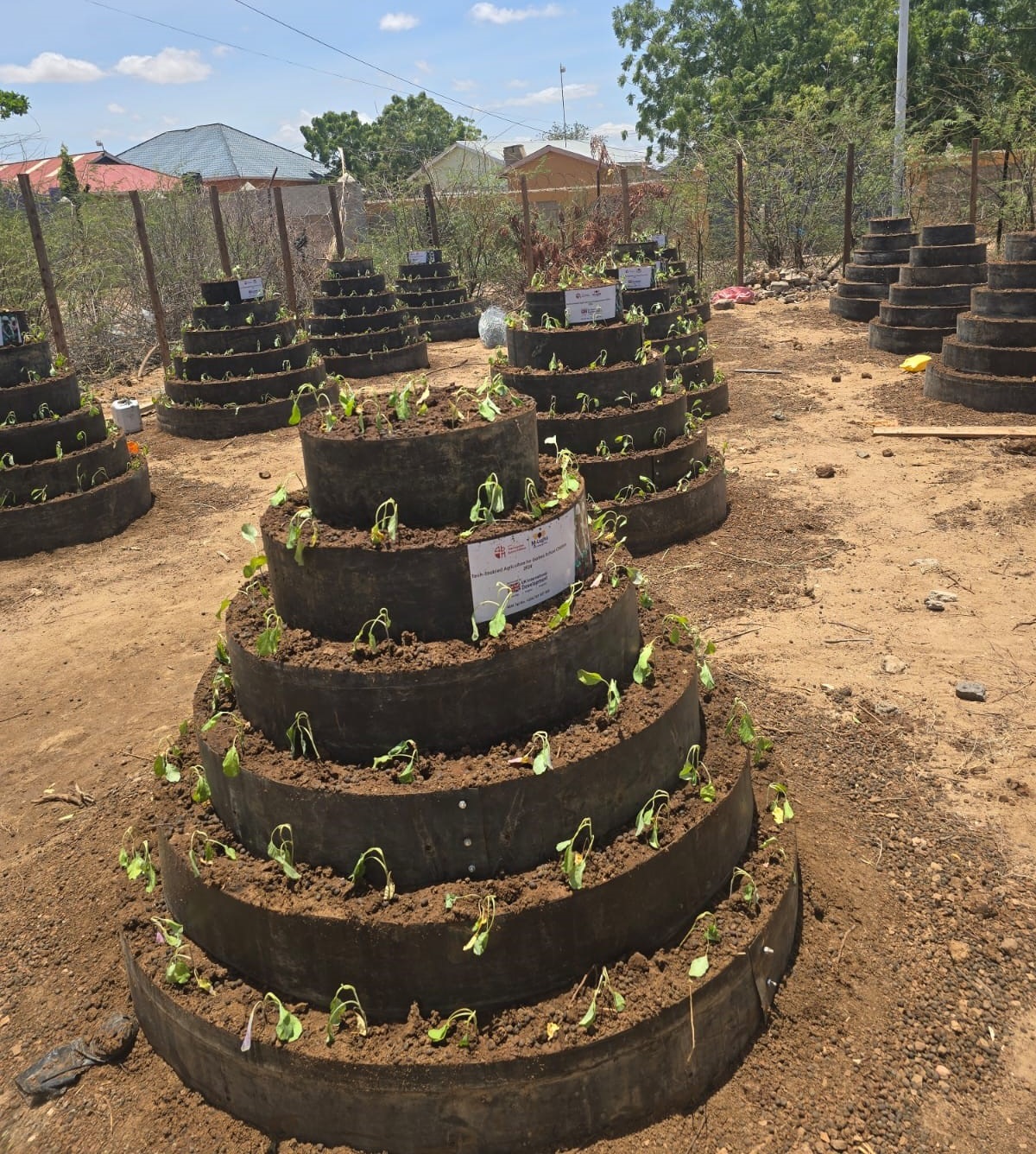 School Garden Initiative